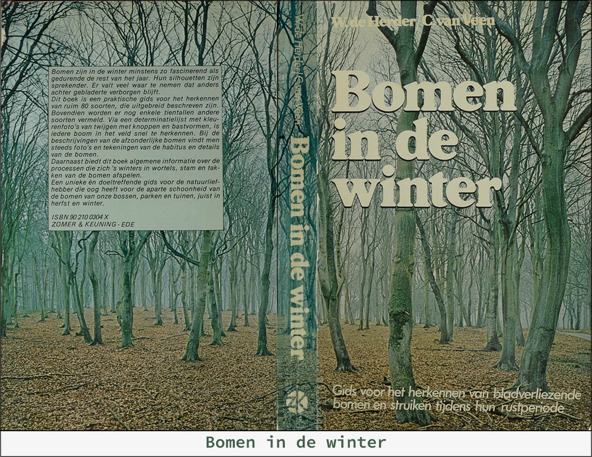 Bomen_inde_winter_Home_v001